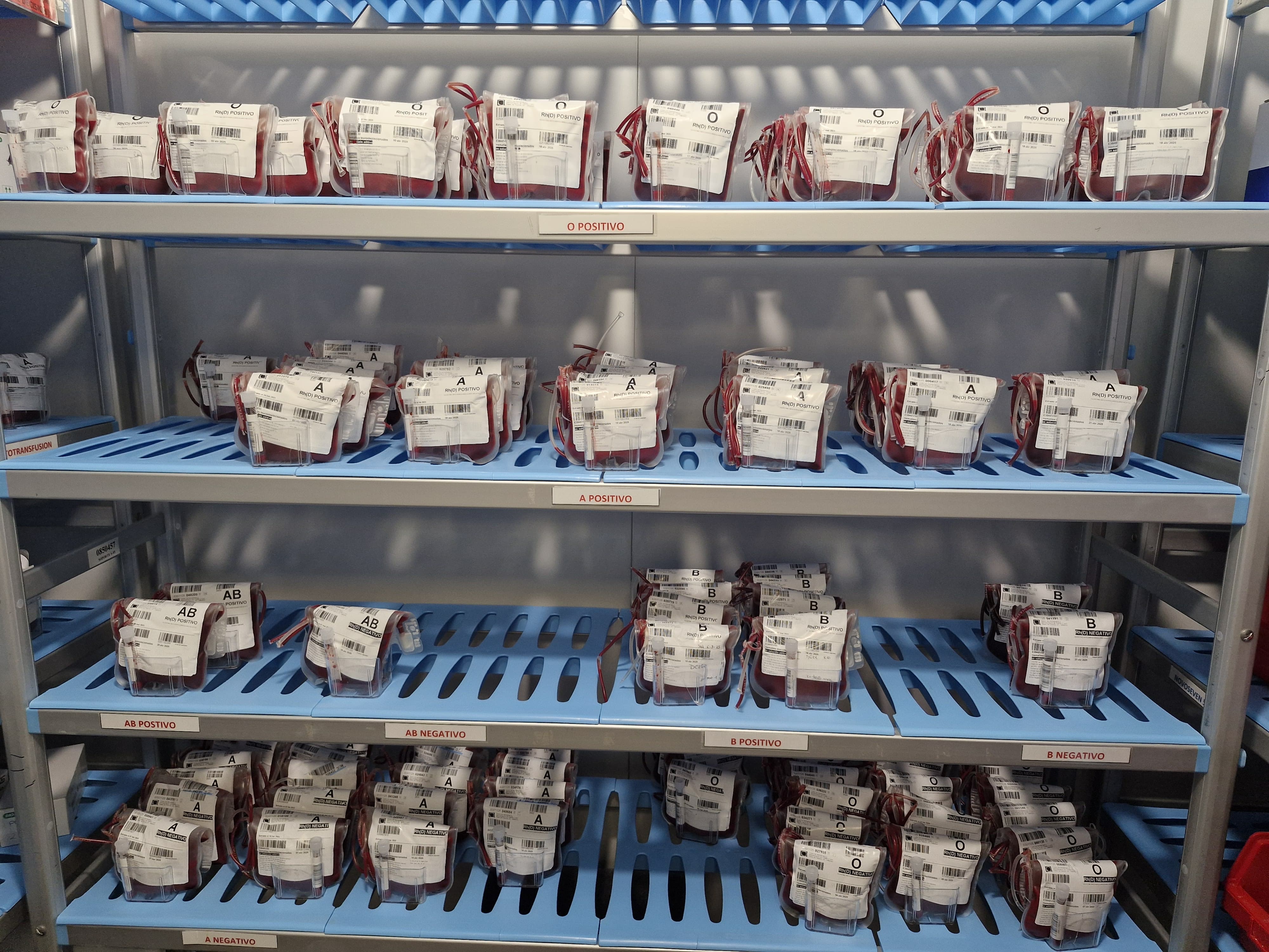 Servicio de Transfusión de la Gasbi (1)