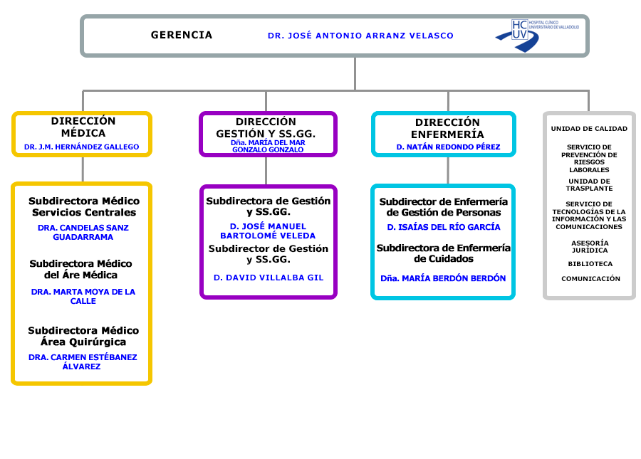 organigrama-gerencia-2025