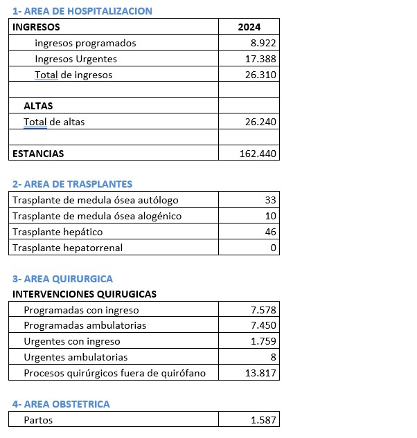 Memoria Actividad 2024 1