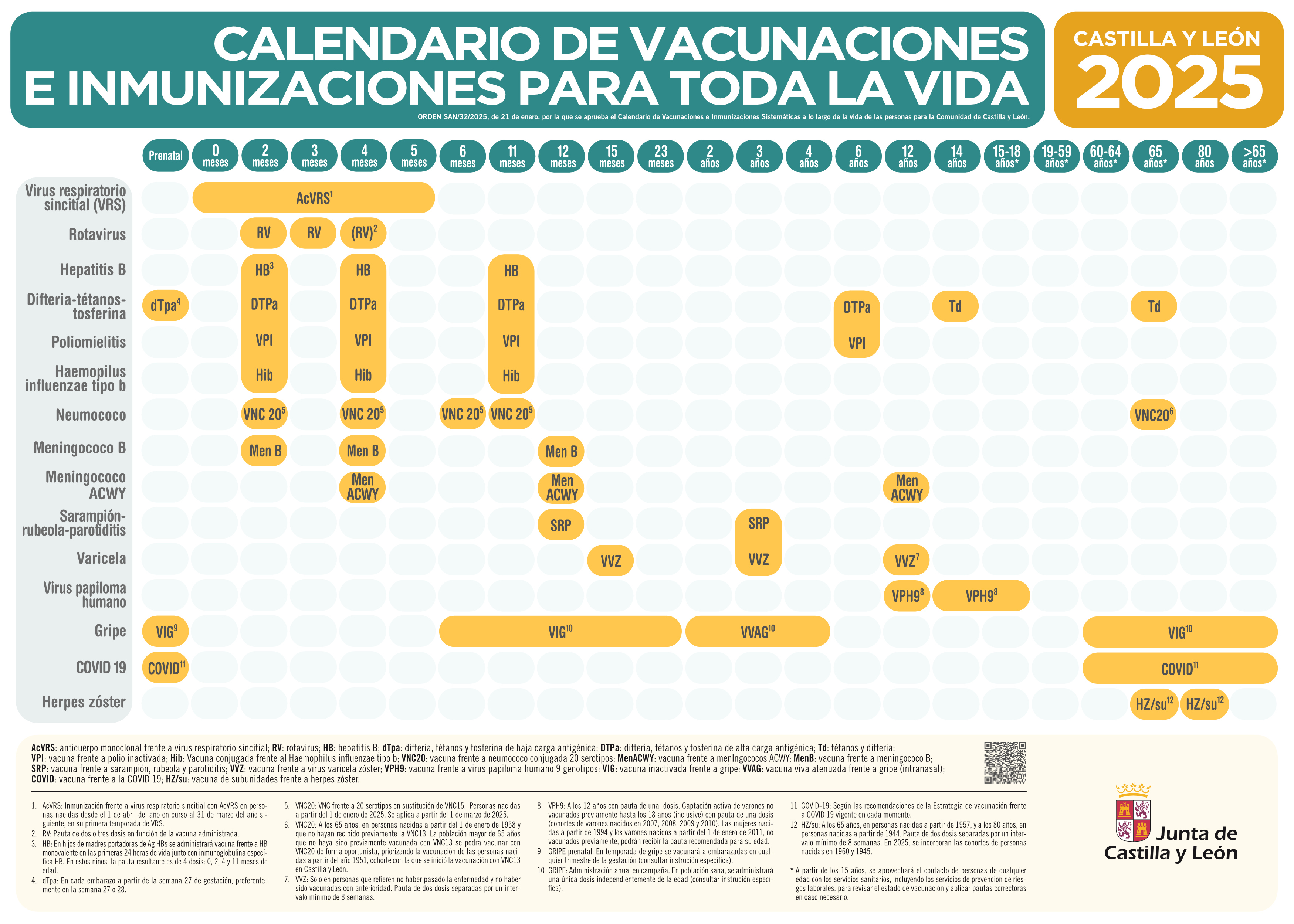 calendario vacunal 2025