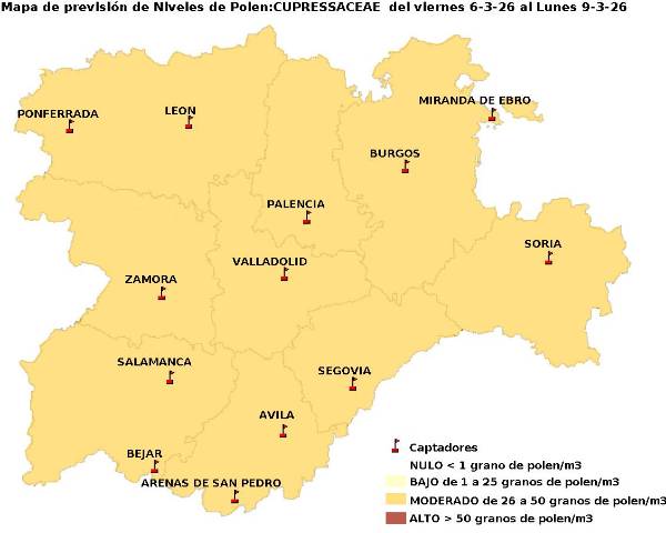 2026_3_6_Cupresaceas