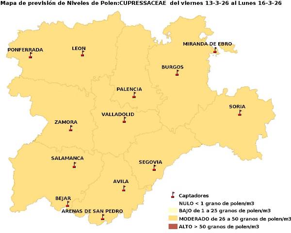 2026_3_13_Cupresaceas