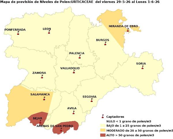 2026_5_29_Urticaceas (1)