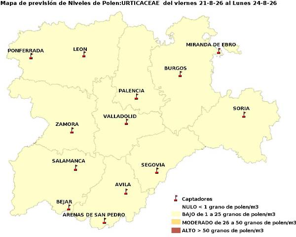 2026_8_21_Urticaceas
