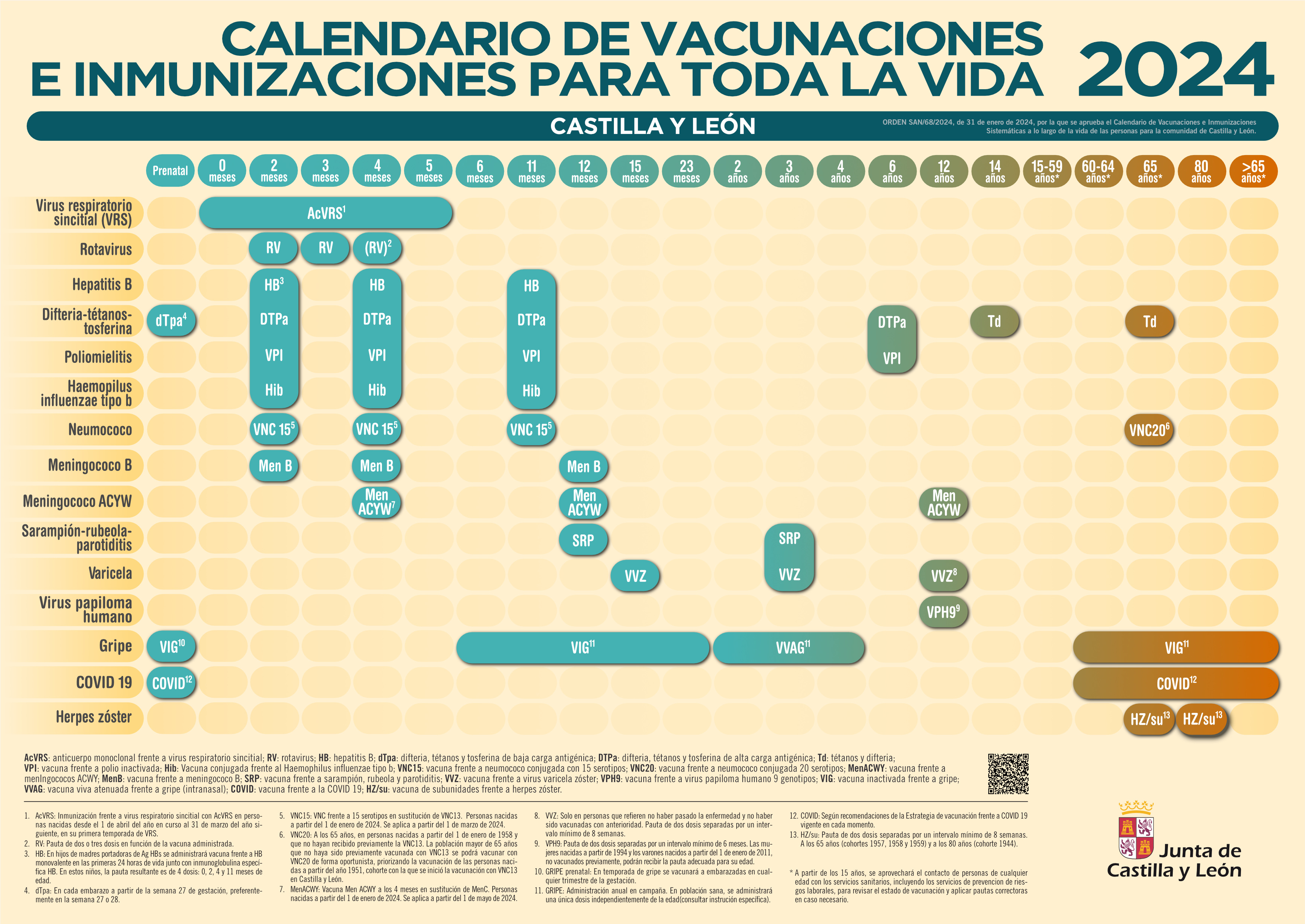 Nuevo Calendario de vacunaciones e inmunizaciones para toda la vida - Castilla y León 2024 