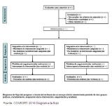 diagrama de flujo CONSORT 2010_esp