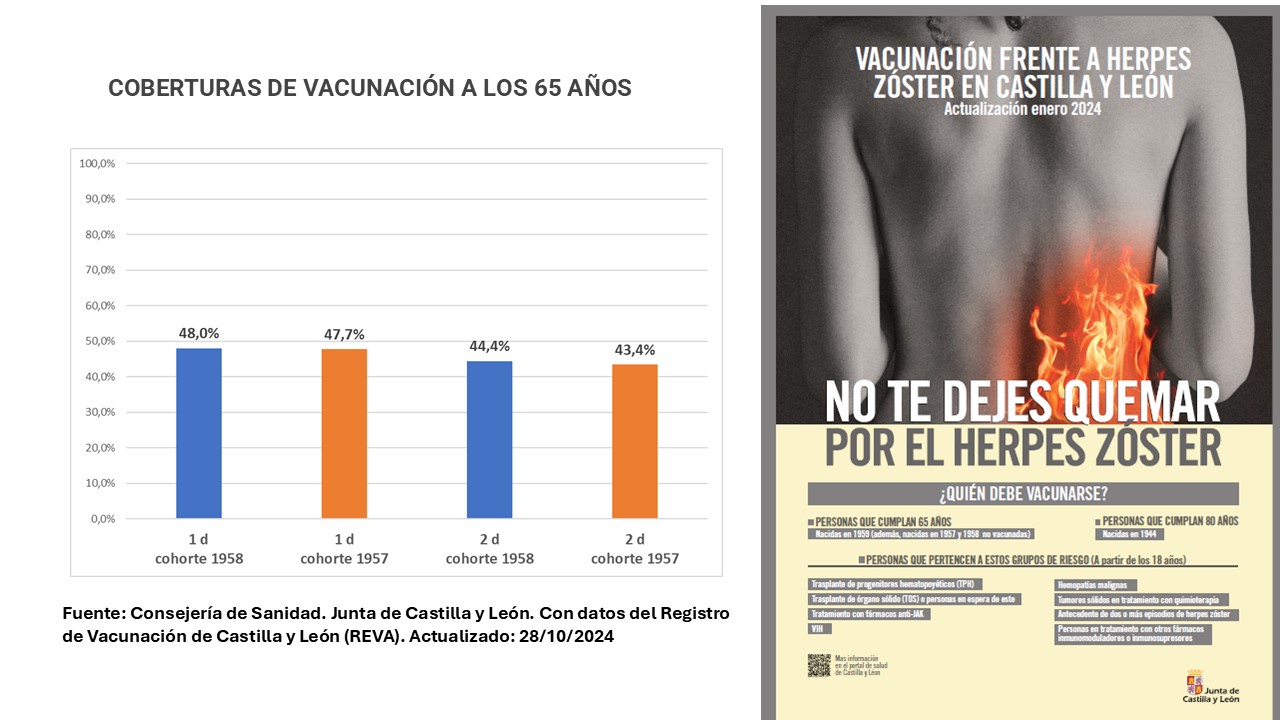 Actualización coberturas HZ octubre 2024 (1958 y 1957)