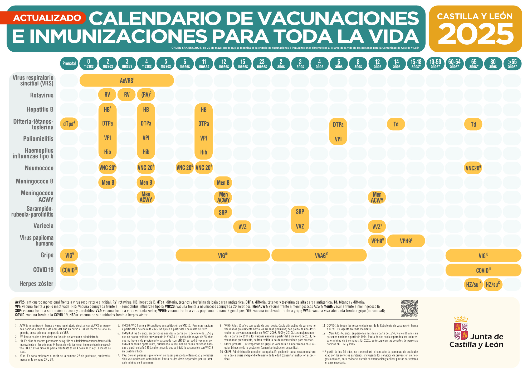 calendario vacunal 2025 (MODIFICADO)