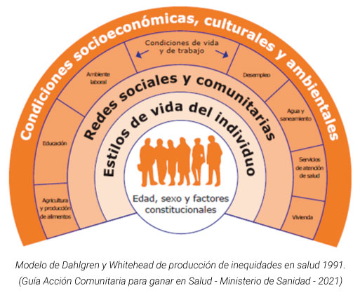 modelo-dahlgren-whitehead