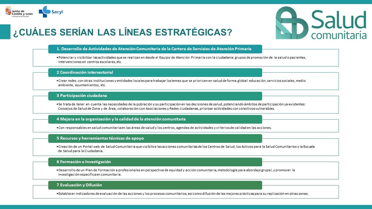 ¿Cuáles serían las líneas estratégicas?