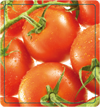 Tomates